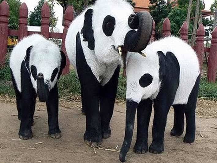 Vương Giả Thiên Hạ - Chương 296 - ảnh 20