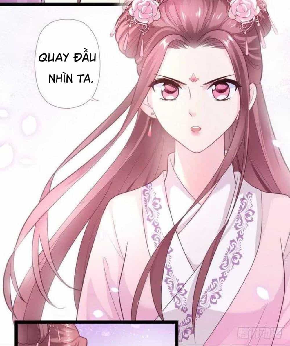Vương Phi - Âm Động Thiên Hạ - Chương 24 - ảnh 12