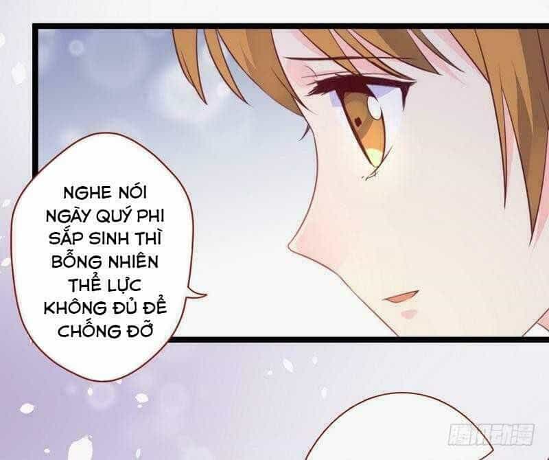 Vương Phi - Âm Động Thiên Hạ - Chương 34 - ảnh 14