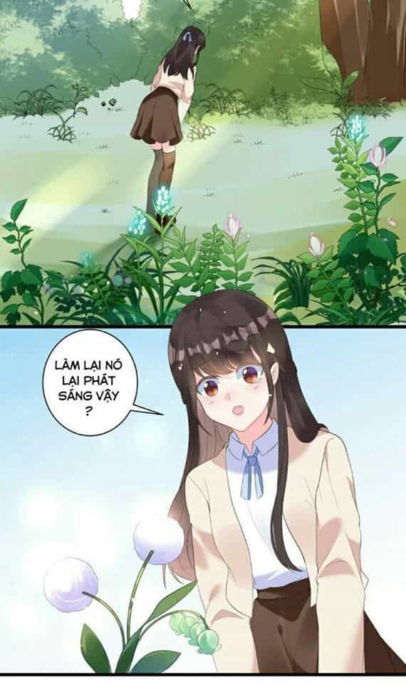 Vương Phi Có Độc! - Chương 1 - ảnh 3