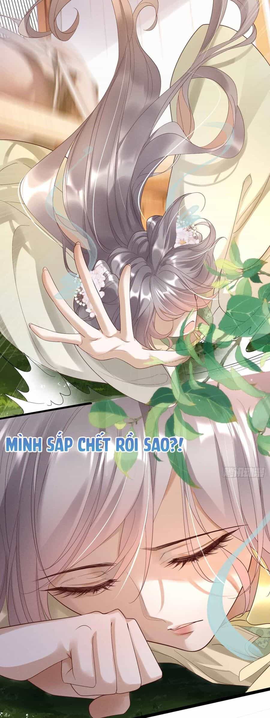 Vương Phi Hắc Hoá Siêu Khó Dỗ - Chương 1 - ảnh 32