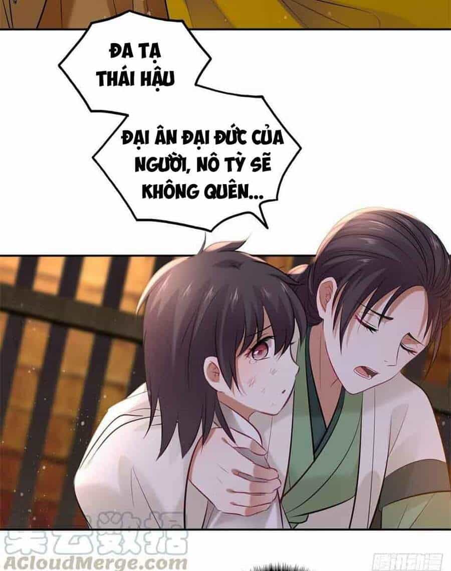 Vương Phi Thật Thích Trang Điểm - Chương 122 - ảnh 26