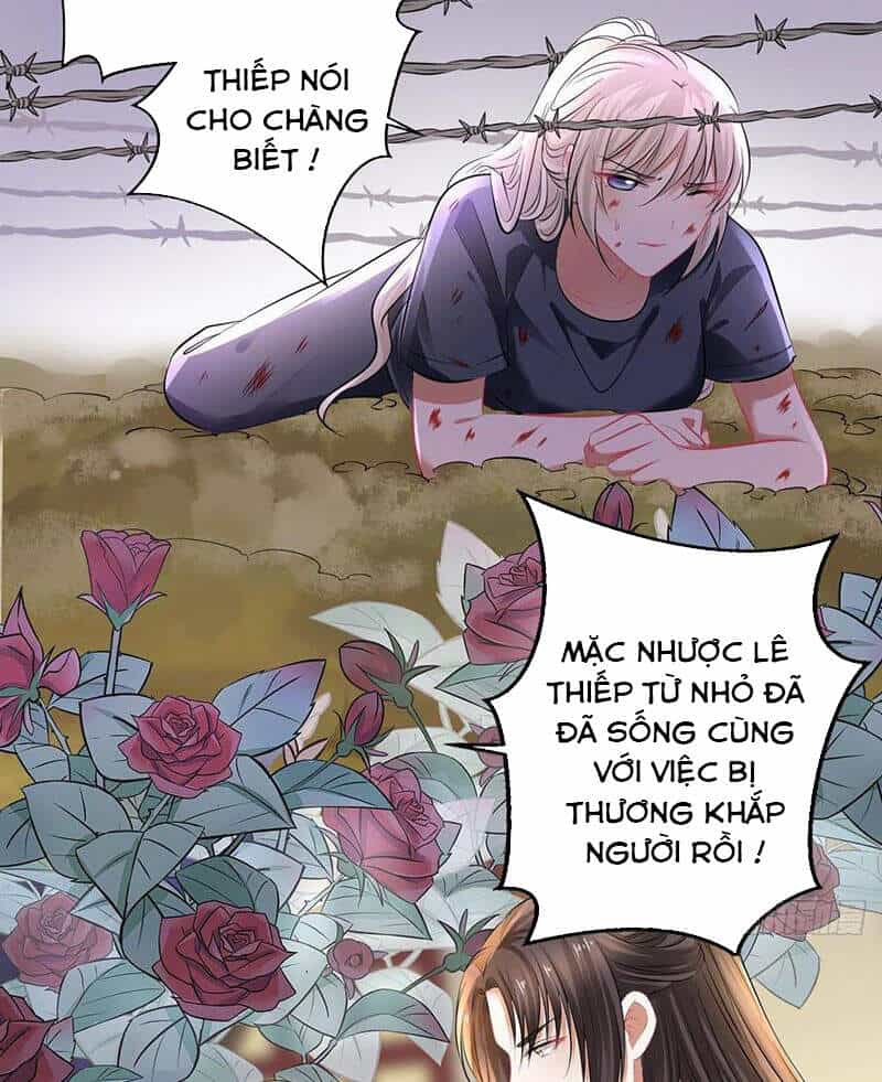 Vương Phi Thật Thích Trang Điểm - Chương 163 - ảnh 38