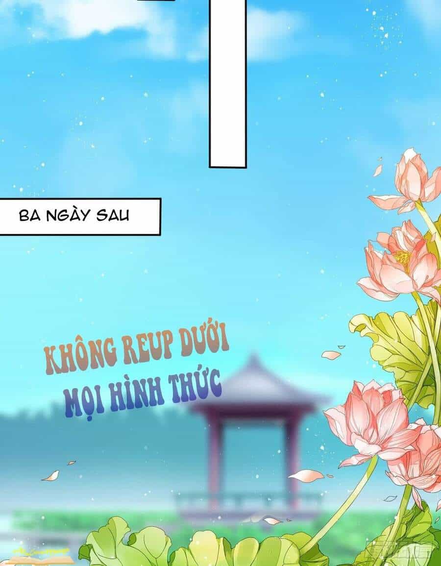 Vương Phi Thật Thích Trang Điểm - Chương 38 - ảnh 7