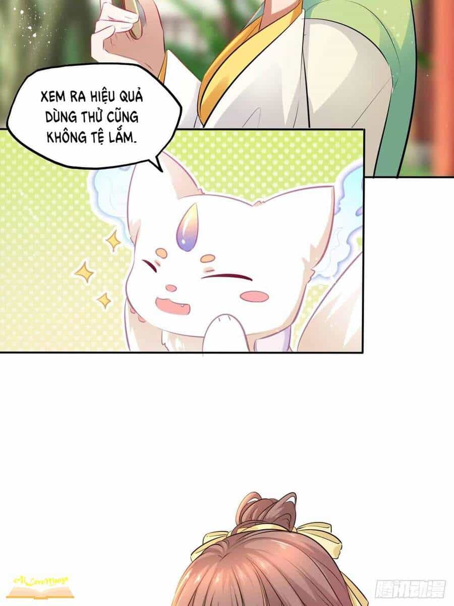 Vương Phi Thật Thích Trang Điểm - Chương 95 - ảnh 36