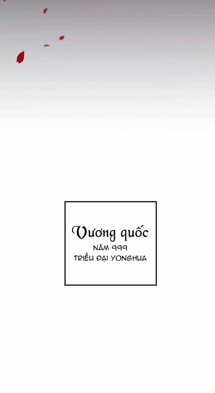 Vương Tử Huyền Bí - Chương 1 - ảnh 31