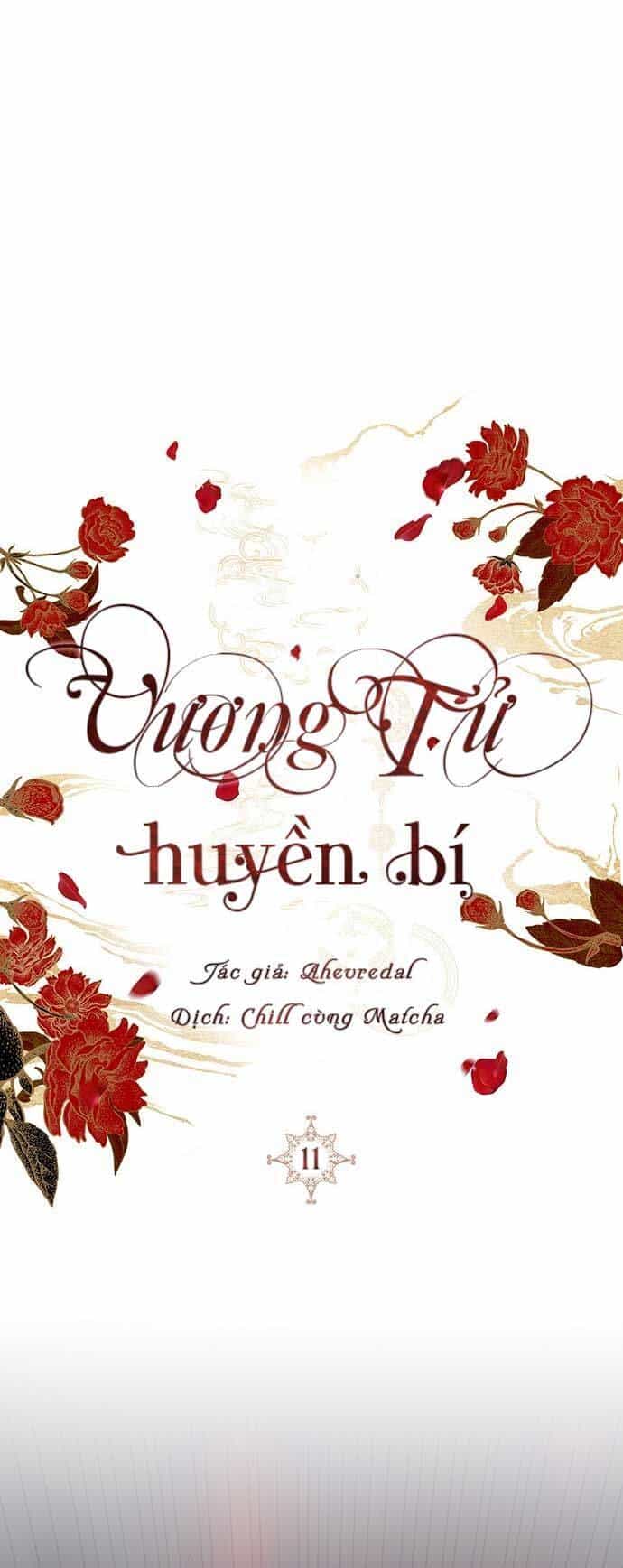 Vương Tử Huyền Bí - Chương 11 - ảnh 16