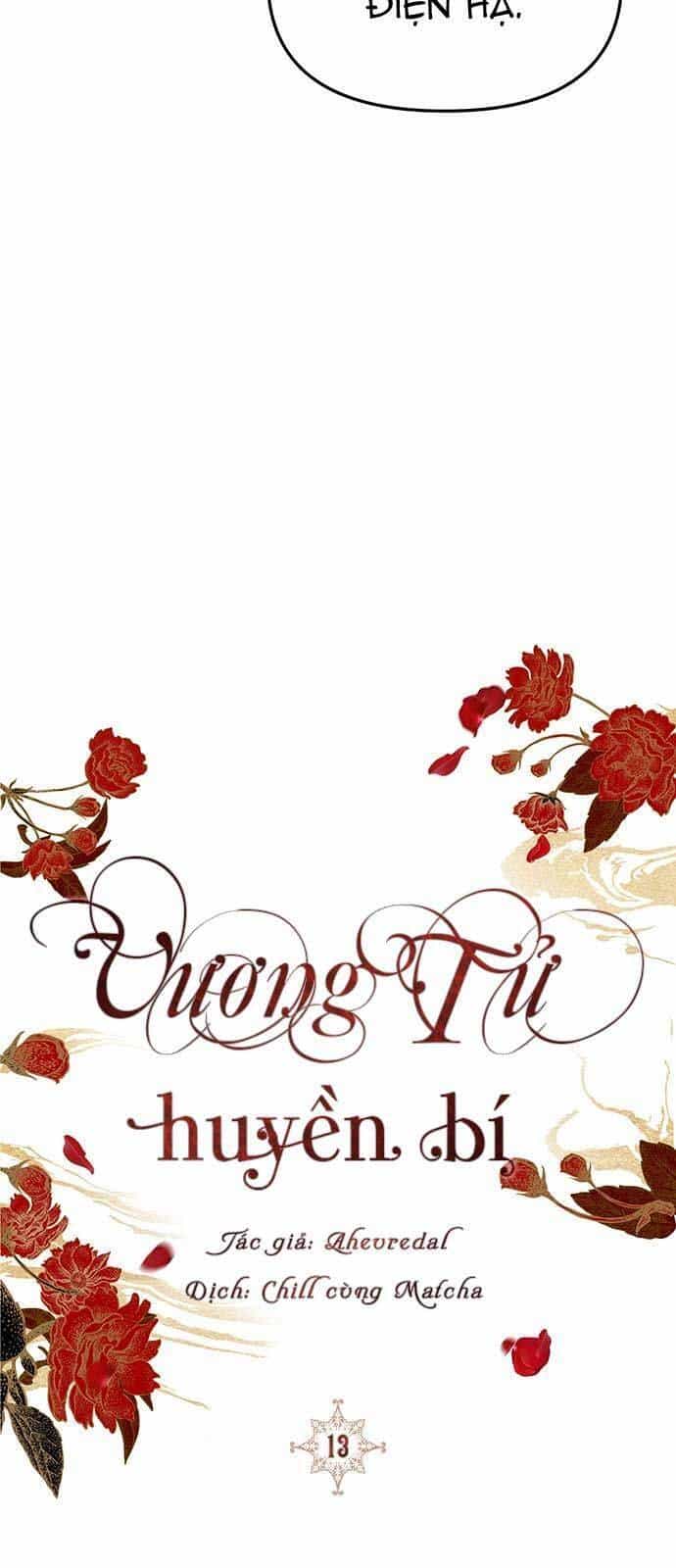 Vương Tử Huyền Bí - Chương 14 - ảnh 13