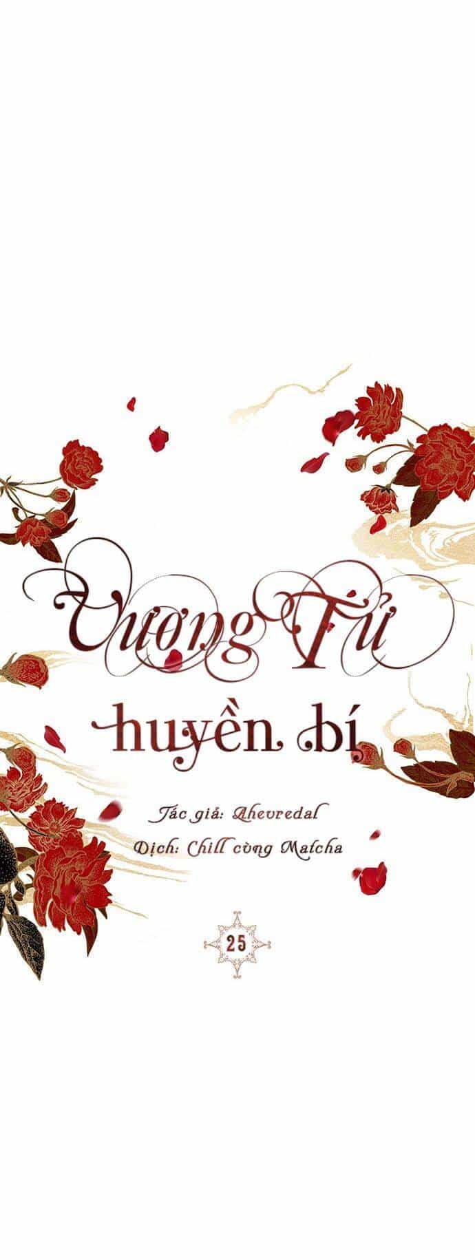 Vương Tử Huyền Bí - Chương 25 - ảnh 28