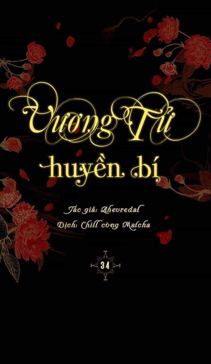 Vương Tử Huyền Bí - Chương 34 - ảnh 2