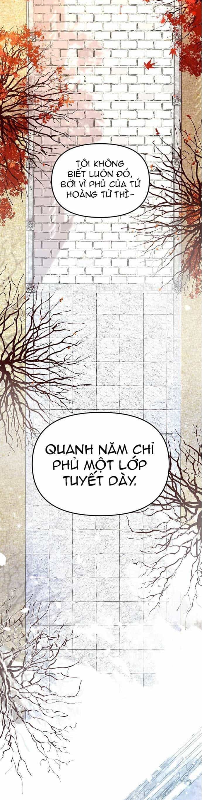 Vương Tử Huyền Bí - Chương 4 - ảnh 2
