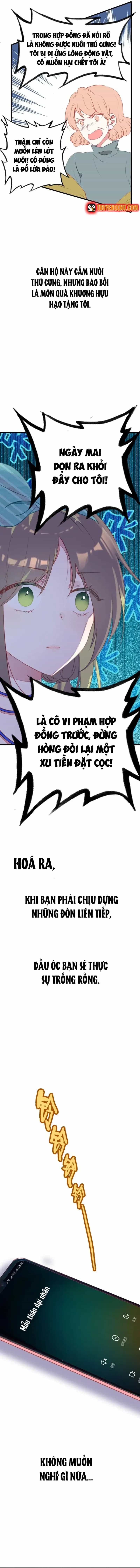 Xách Mèo Vào Ở - Chương 1 - ảnh 15