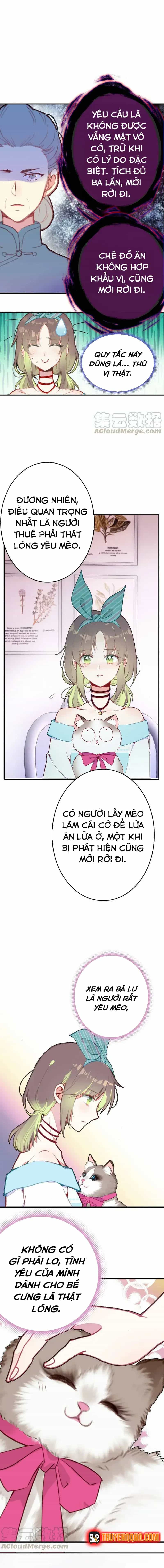 Xách Mèo Vào Ở - Chương 3 - ảnh 11