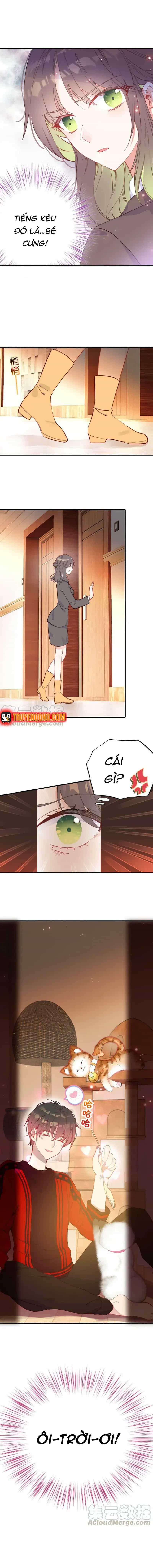 Xách Mèo Vào Ở - Chương 6 - ảnh 6