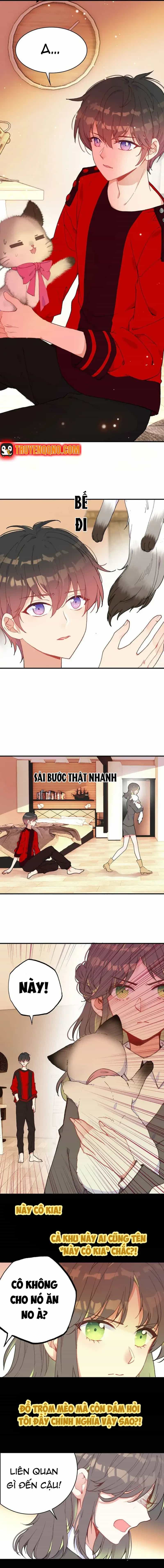 Xách Mèo Vào Ở - Chương 6 - ảnh 9
