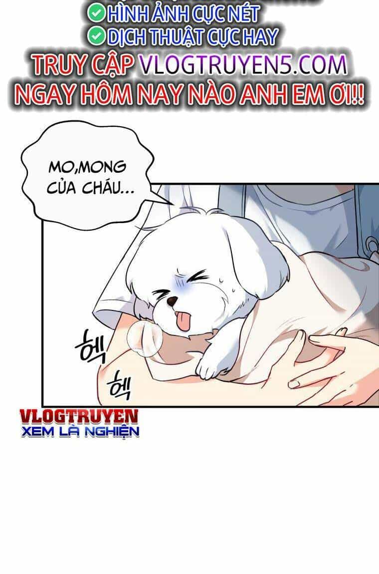 Xin Chào! Bác Sĩ Thú Y - Chương 1 - ảnh 45