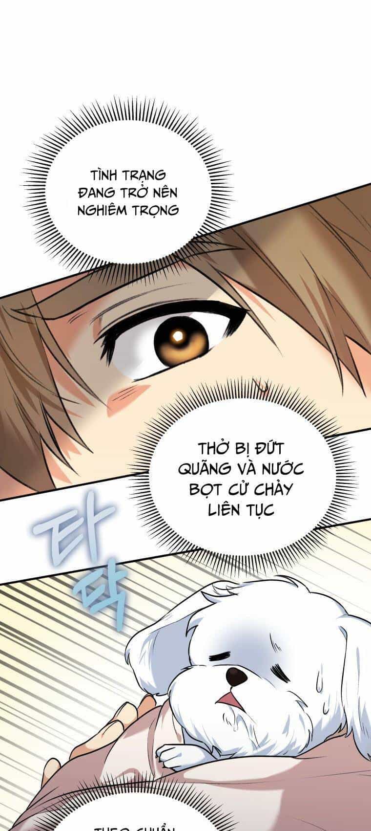 Xin Chào! Bác Sĩ Thú Y - Chương 1 - ảnh 52