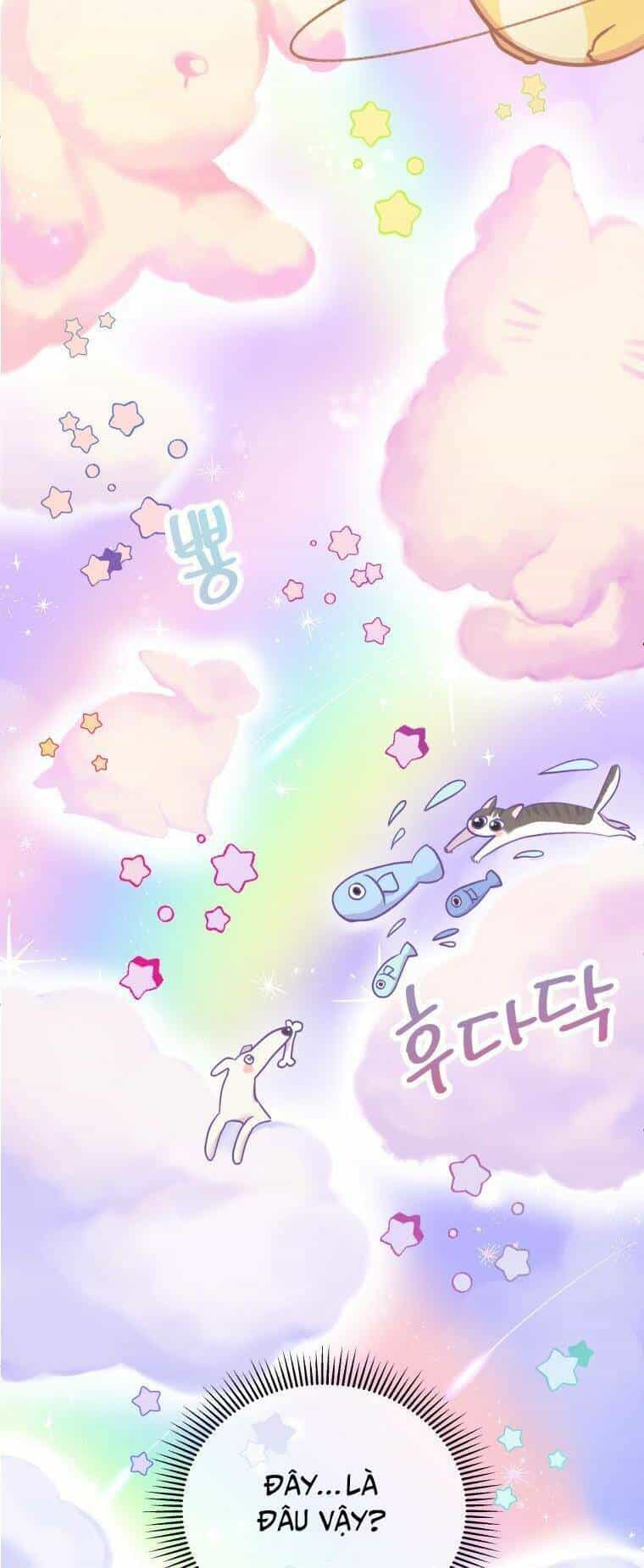 Xin Chào! Bác Sĩ Thú Y - Chương 1 - ảnh 9