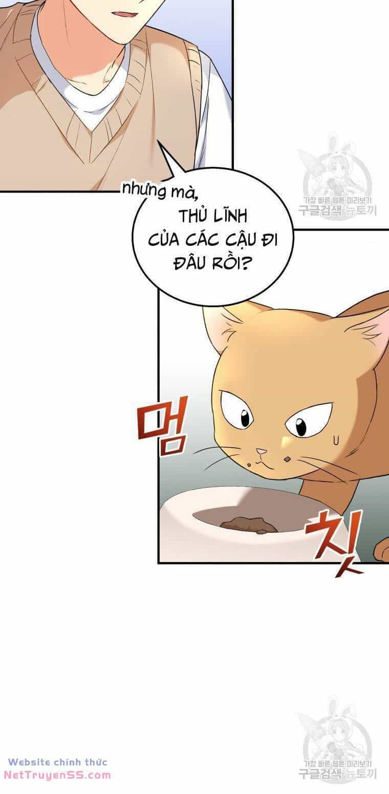 Xin Chào! Bác Sĩ Thú Y - Chương 11 - ảnh 34