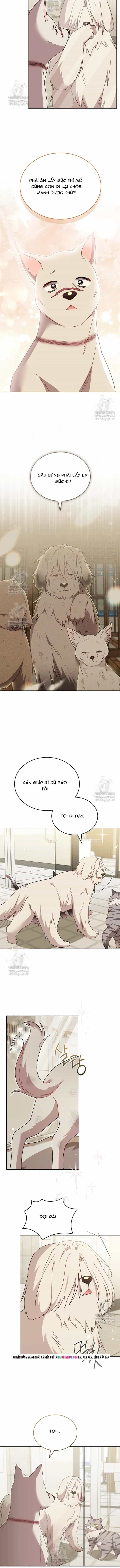 Xin Chào! Bác Sĩ Thú Y - Chương 115 - ảnh 7