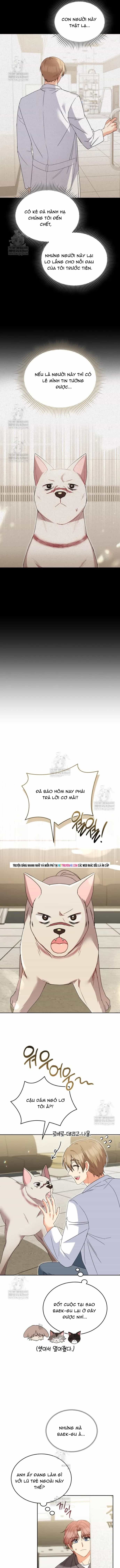 Xin Chào! Bác Sĩ Thú Y - Chương 116 - ảnh 3