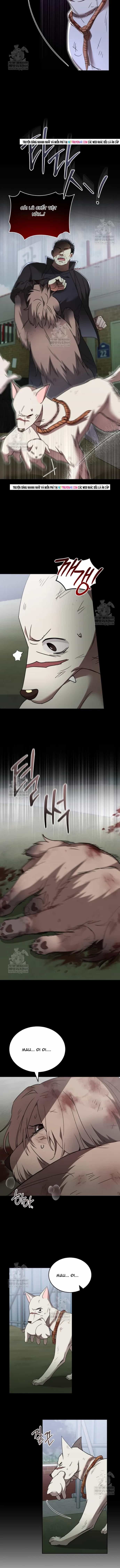 Xin Chào! Bác Sĩ Thú Y - Chương 120 - ảnh 8