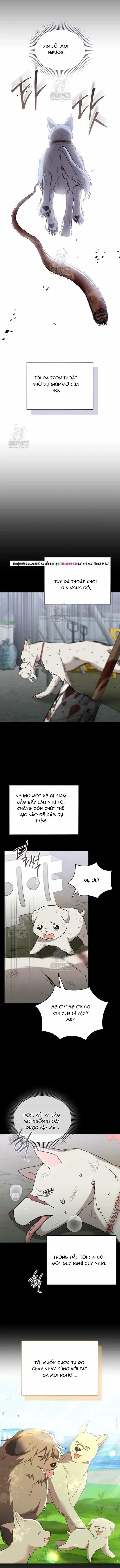 Xin Chào! Bác Sĩ Thú Y - Chương 120 - ảnh 9
