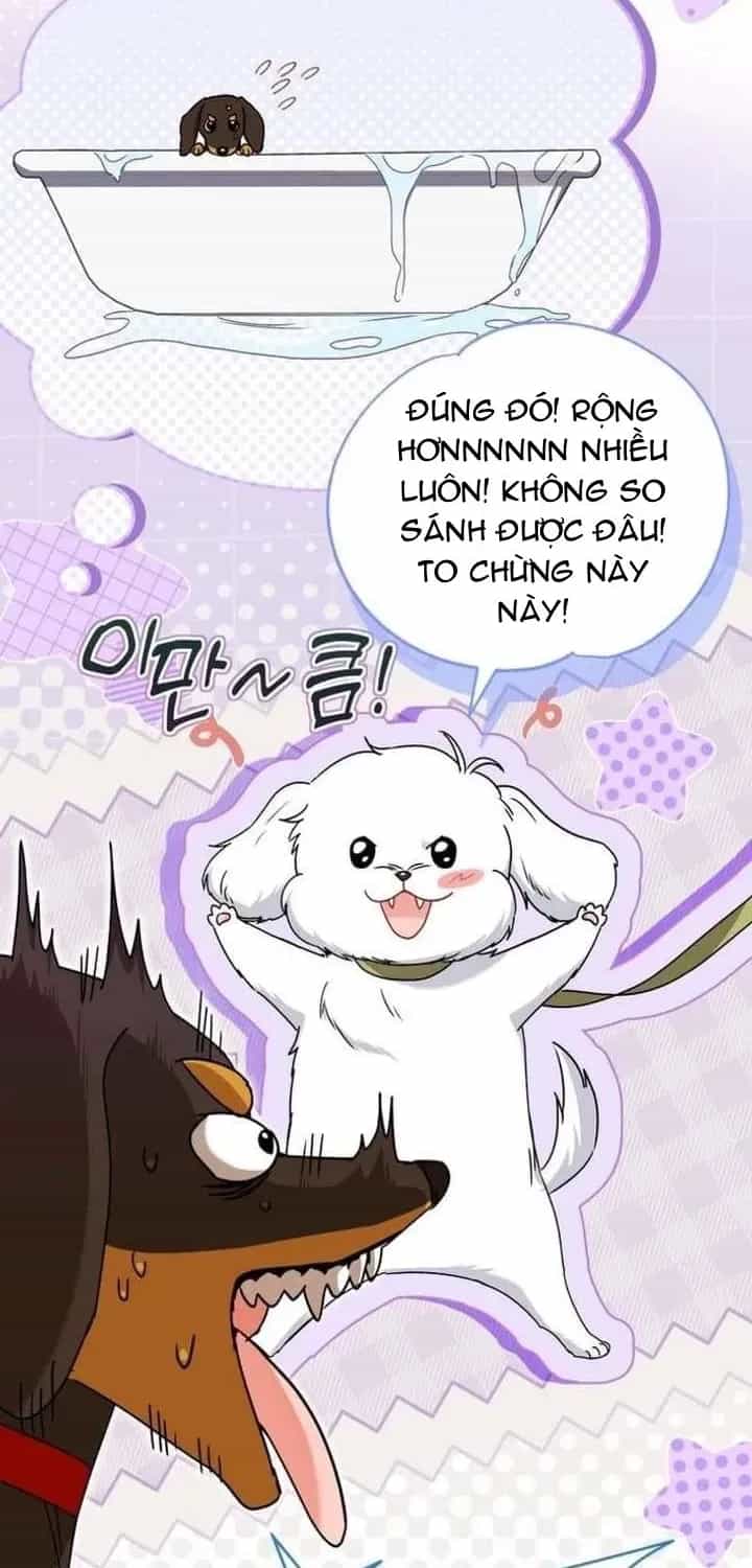 Xin Chào! Bác Sĩ Thú Y - Chương 129 - ảnh 14