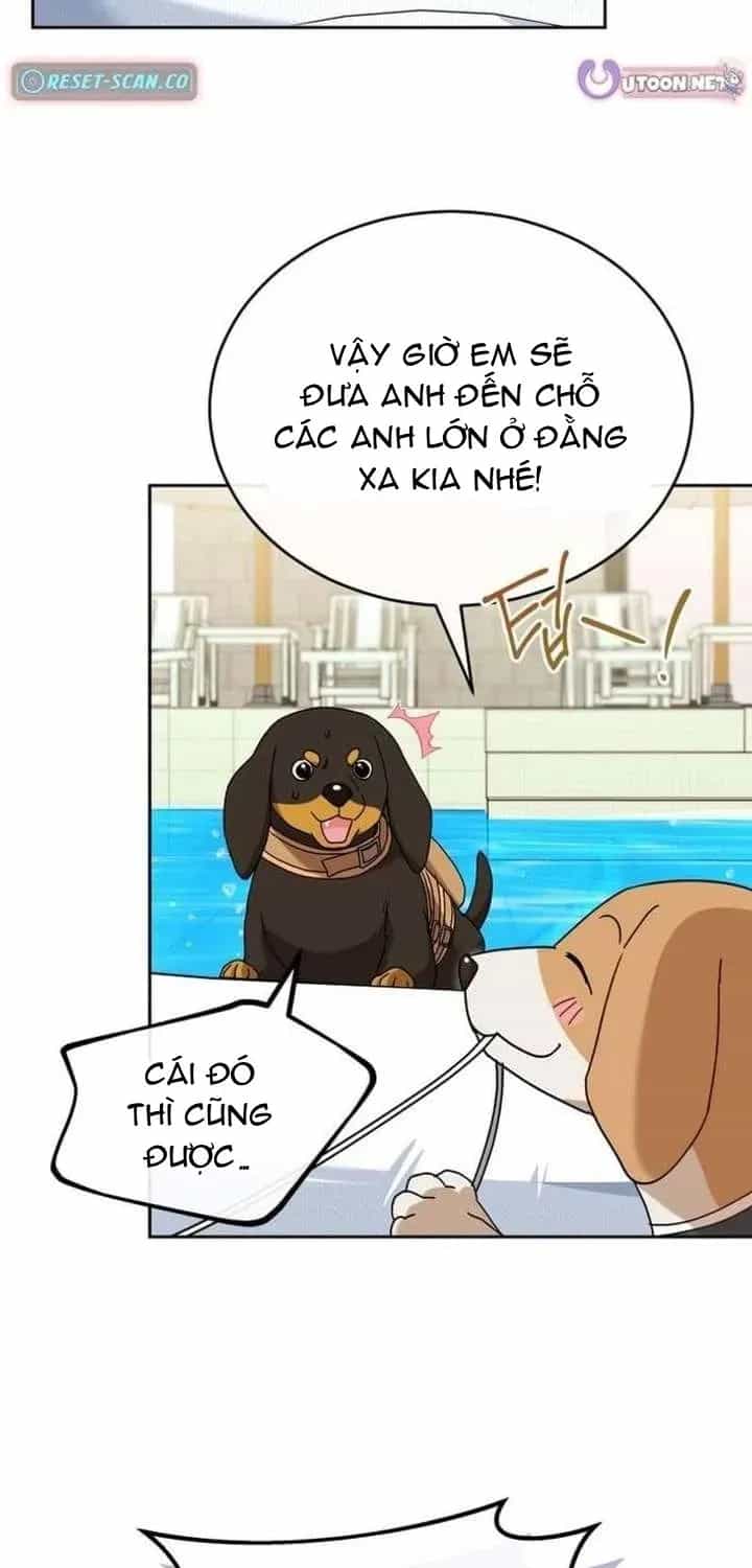 Xin Chào! Bác Sĩ Thú Y - Chương 129 - ảnh 65