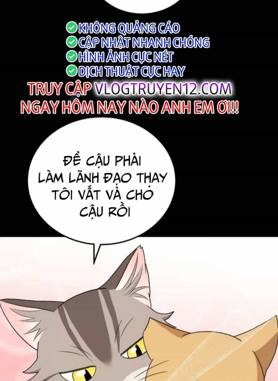 Xin Chào! Bác Sĩ Thú Y - Chương 21 - ảnh 32