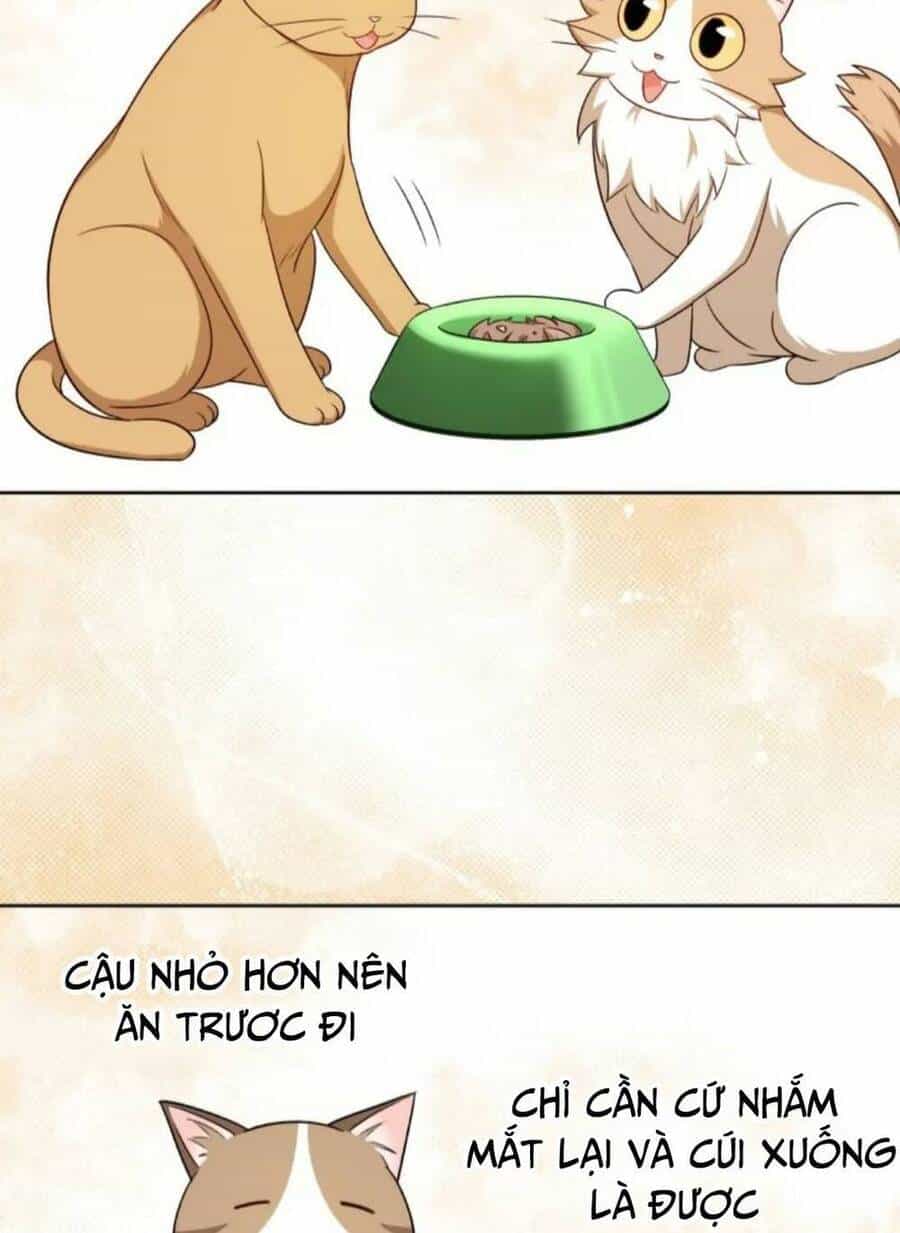 Xin Chào! Bác Sĩ Thú Y - Chương 21 - ảnh 67