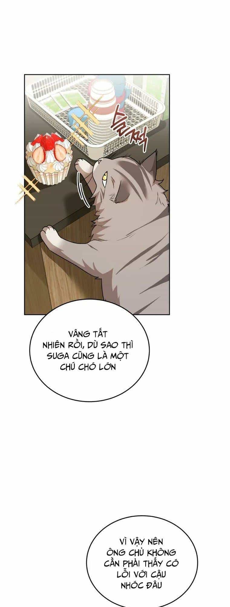 Xin Chào! Bác Sĩ Thú Y - Chương 24 - ảnh 19