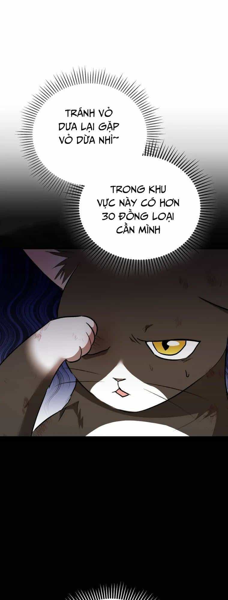 Xin Chào! Bác Sĩ Thú Y - Chương 27 - ảnh 40