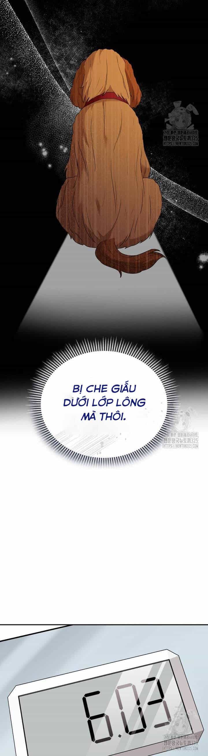 Xin Chào! Bác Sĩ Thú Y - Chương 42 - ảnh 29