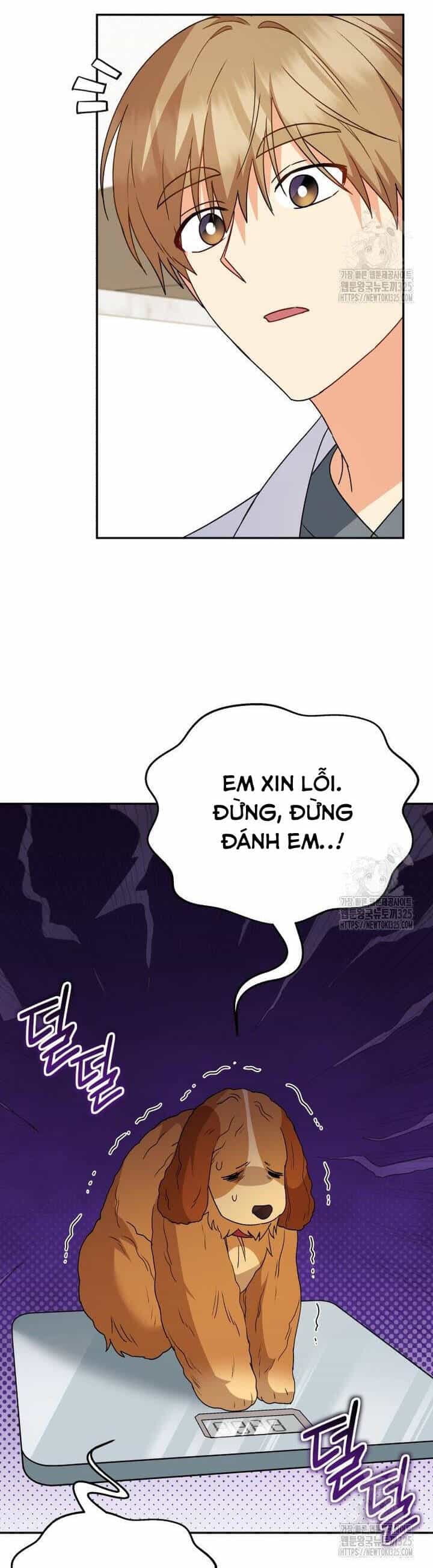 Xin Chào! Bác Sĩ Thú Y - Chương 42 - ảnh 33
