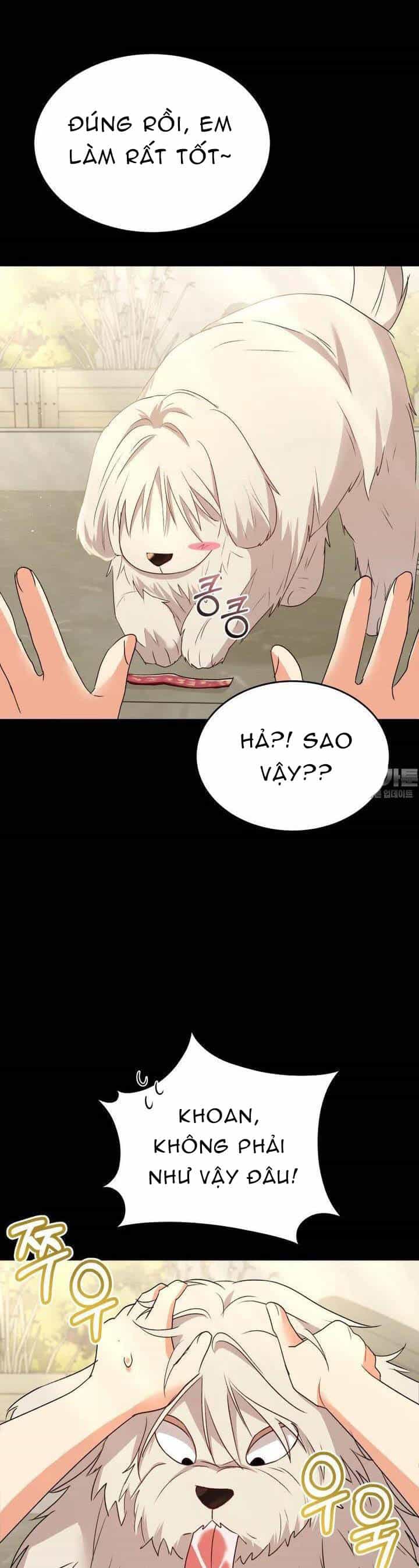 Xin Chào! Bác Sĩ Thú Y - Chương 55 - ảnh 3
