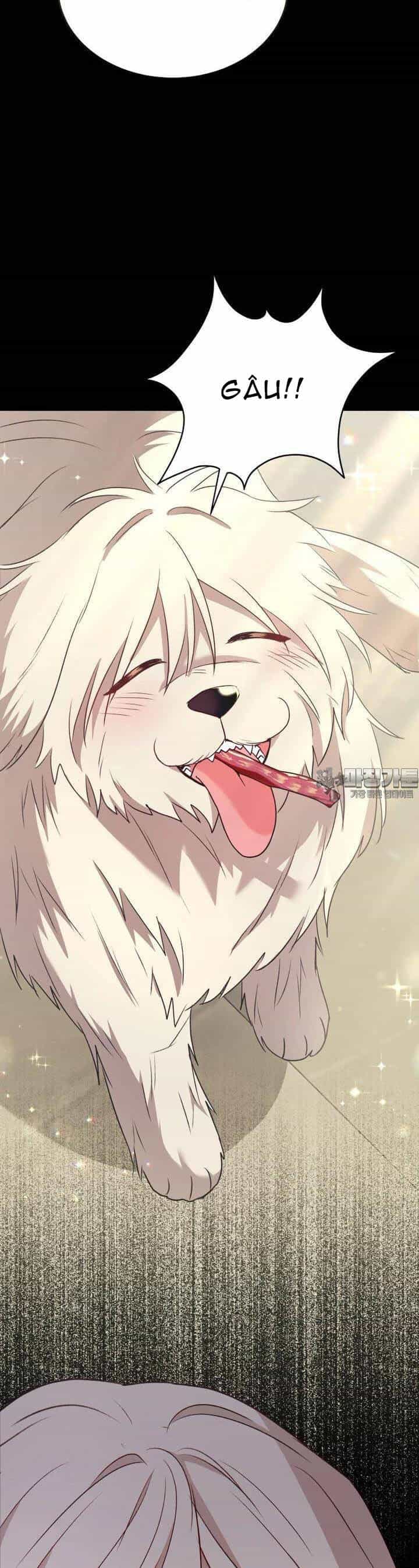 Xin Chào! Bác Sĩ Thú Y - Chương 55 - ảnh 6