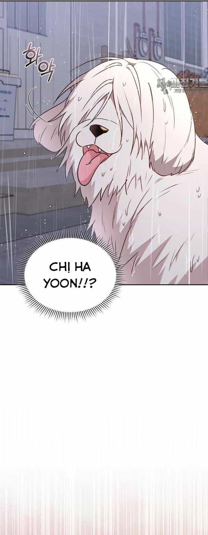 Xin Chào! Bác Sĩ Thú Y - Chương 57 - ảnh 33