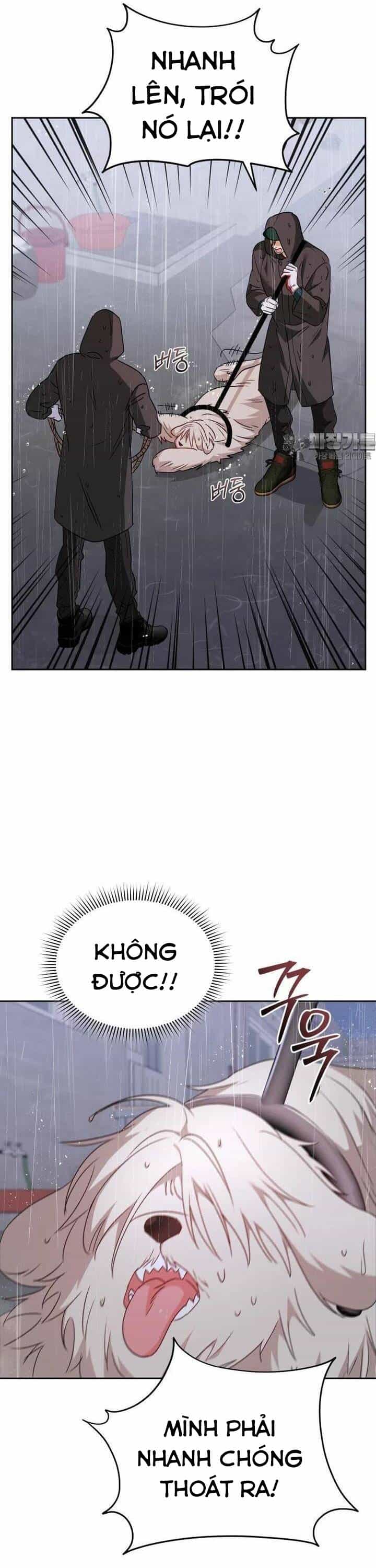 Xin Chào! Bác Sĩ Thú Y - Chương 57 - ảnh 42