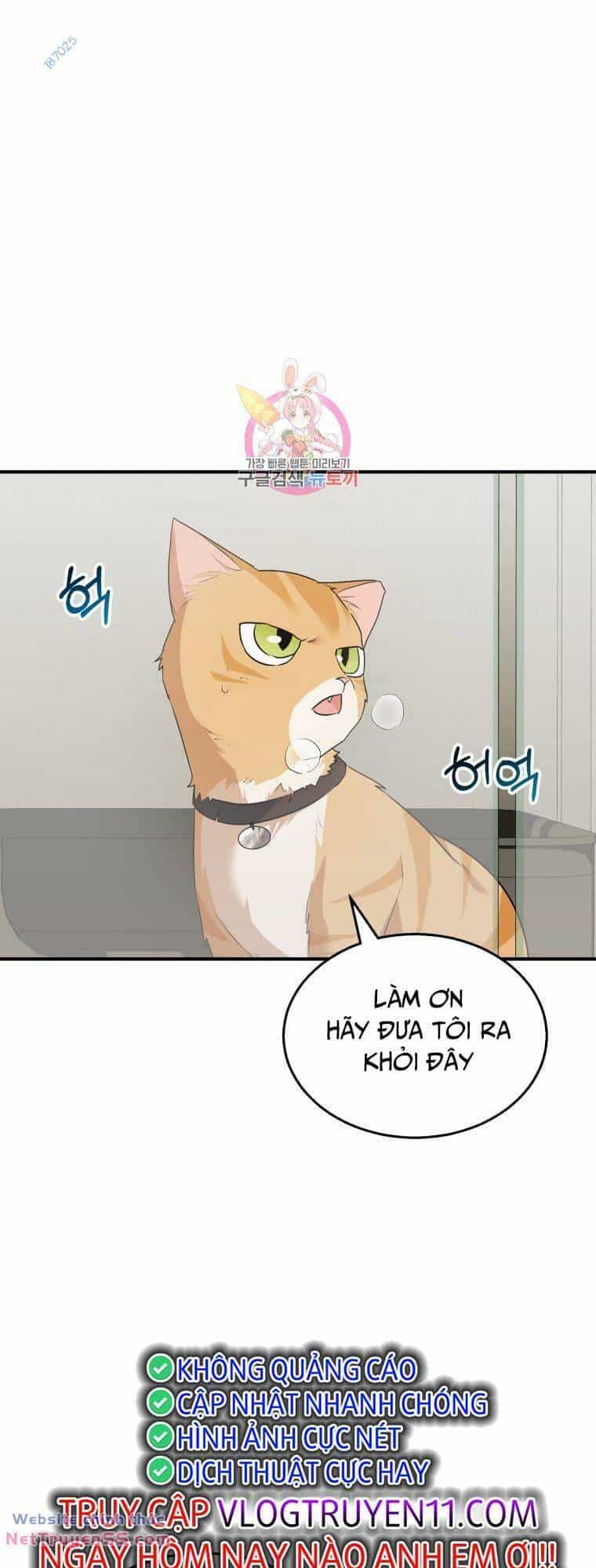 Xin Chào! Bác Sĩ Thú Y - Chương 8 - ảnh 1