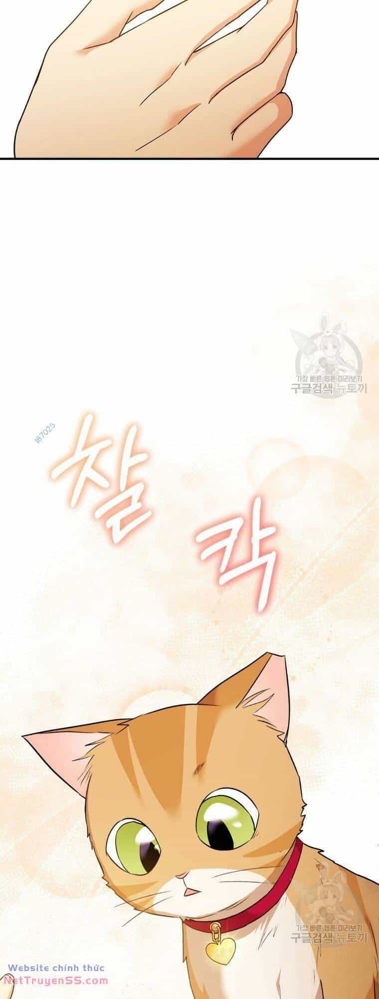 Xin Chào! Bác Sĩ Thú Y - Chương 8 - ảnh 35