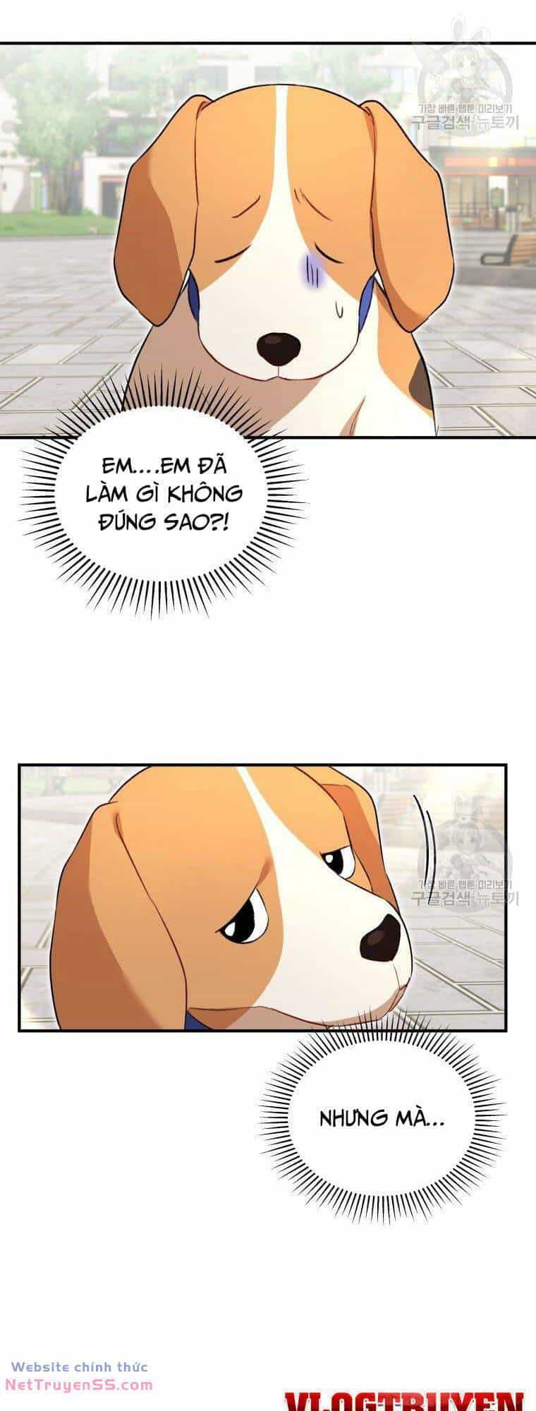 Xin Chào! Bác Sĩ Thú Y - Chương 9 - ảnh 33