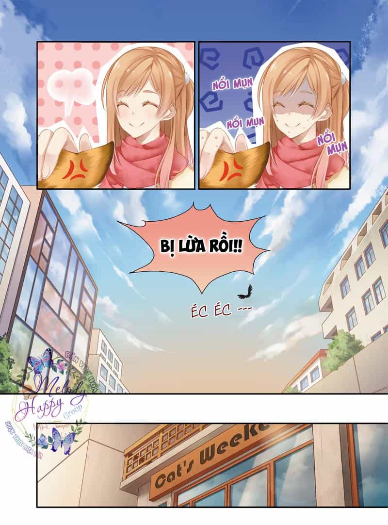 Xin Chào! Coffee Cat's - Chương 2 - ảnh 10
