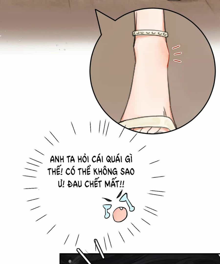 Xin Được Chỉ Giáo - Chương 3.2 - ảnh 5