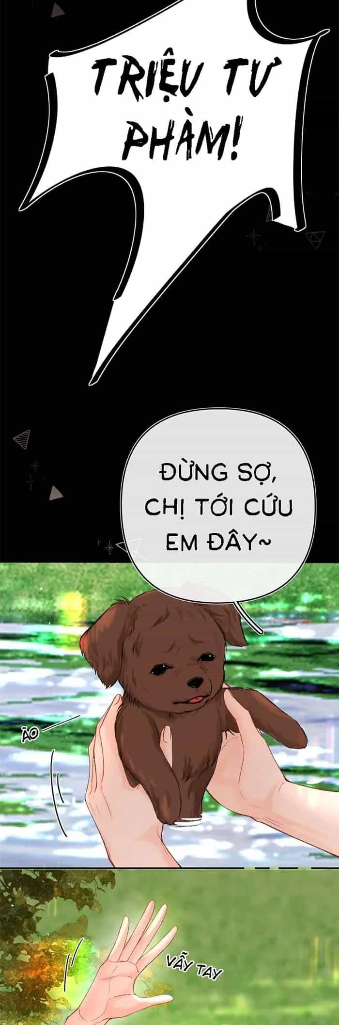Xin Hãy Chăm Sóc Nhiều Hơn - Chương 55 - ảnh 19