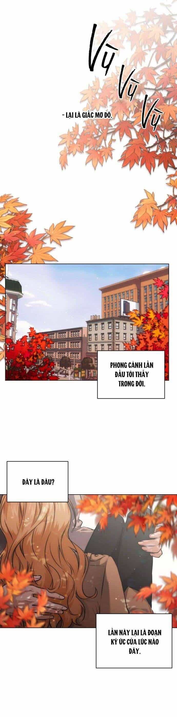 Xin Người Đừng Quên - Chương 10 - ảnh 2