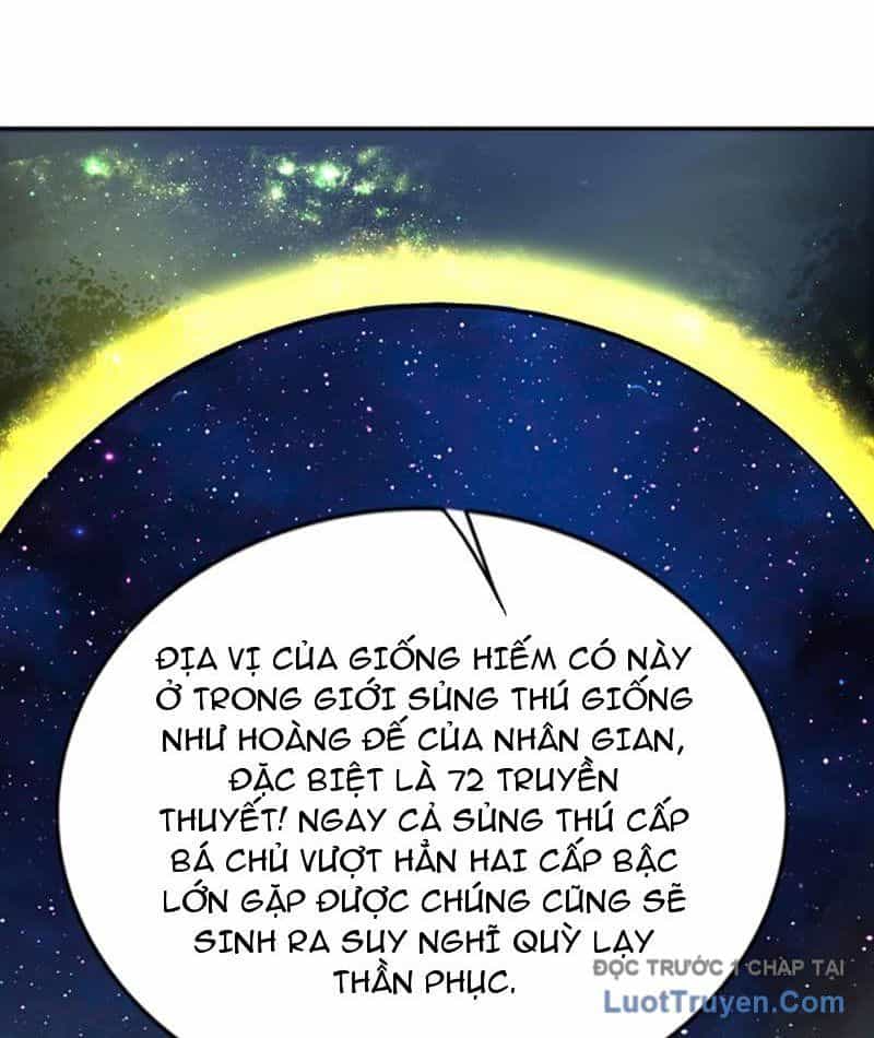 Xong Rồi, Ta Bị Sủng Thú Của Mình Bao Vây Rồi! - Chương 14 - ảnh 72