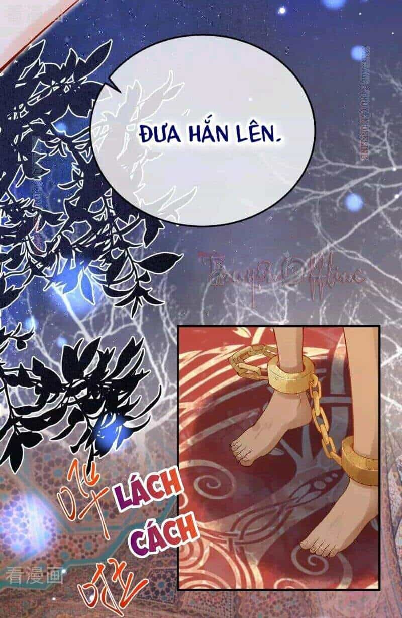 Xuyên Đến Ai Cập : Trở Thành Cô Dâu Của Vương - Chương 17 - ảnh 24