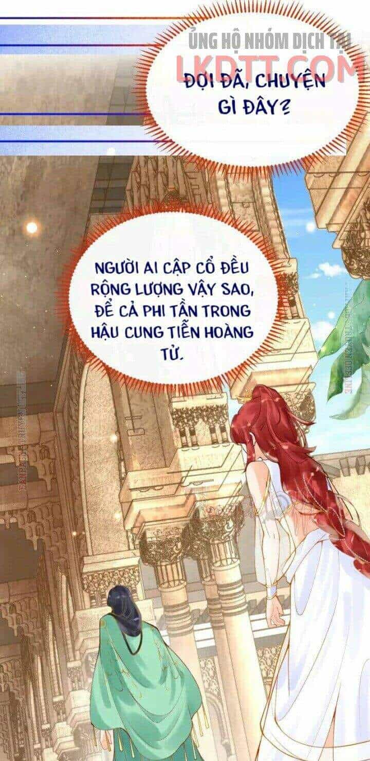 Xuyên Đến Ai Cập : Trở Thành Cô Dâu Của Vương - Chương 20 - ảnh 24