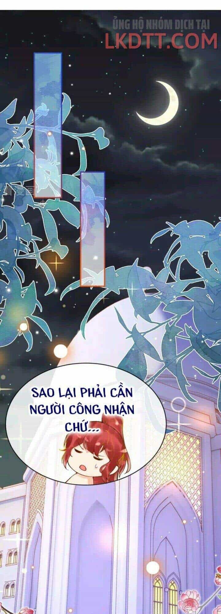 Xuyên Đến Ai Cập : Trở Thành Cô Dâu Của Vương - Chương 22 - ảnh 23